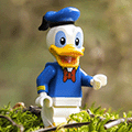 Avatar de l’utilisateur